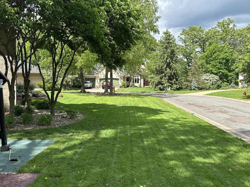 Local Minnesota neighborhood lawn